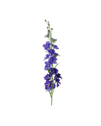 Delphinium snittblomma lila