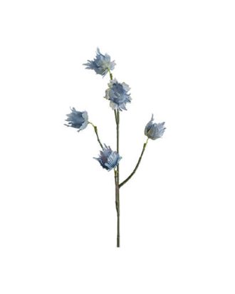 Eternell snittblomma blå OUTLET