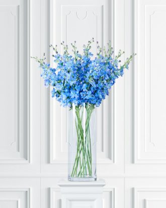 Delphinium snittblomma blå