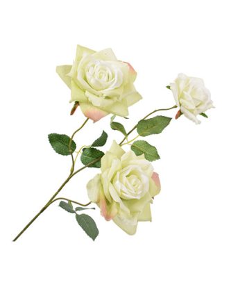 Roskvist snittblomma limegrön OUTLET