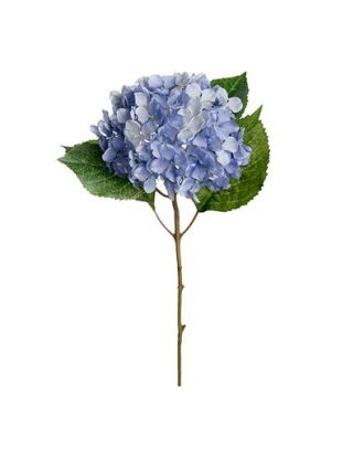 Hortensia snittblomma ljusblå/grön