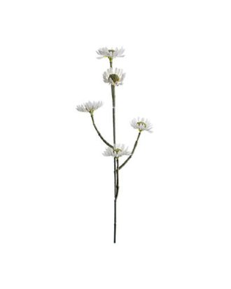 Eternell snittblomma vit OUTLET