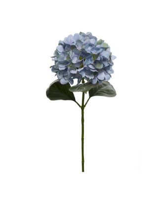 Hortensia snittblomma blå/grön