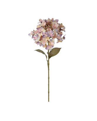 Hortensia snittblomma lila/beige/rosa