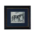 Euphoria Häst tavla 35x40