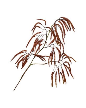 Höstkvist röd OUTLET