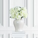 Hortensia snittblomma vit