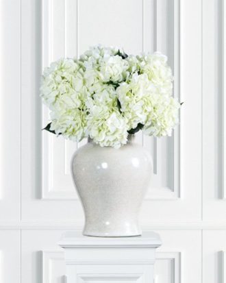 Hortensia snittblomma vit