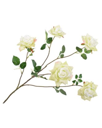 Roskvist snittblomma limegrön/rosa OUTLET