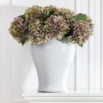 Hortensia snittblomma lila/grön