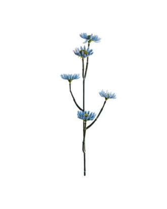 Eternell snittblomma blå OUTLET