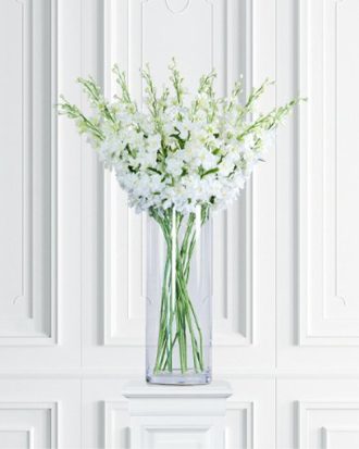 Delphinium snittblomma vit