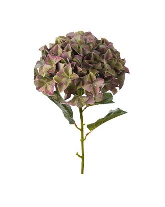 Hortensia snittblomma lila