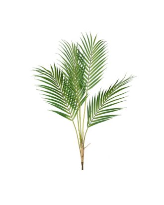 Bergspalm konstväxt grön
