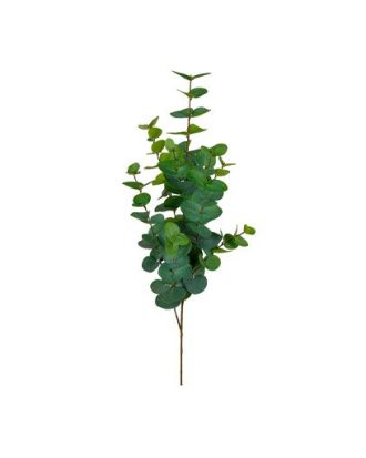 Eucalyptus snittblomma grön