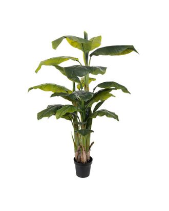 Banan konstväxt 150cm