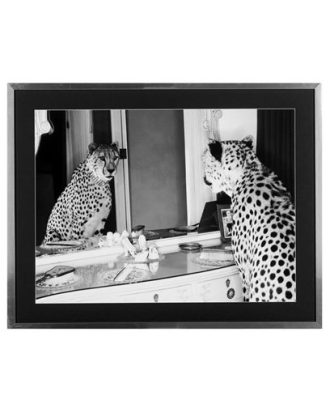 Cheetah looking in mirror