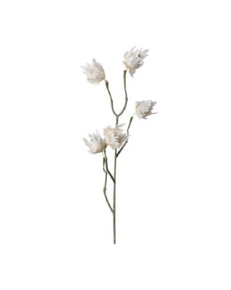 Eternell snittblomma vit OUTLET