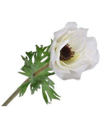 Anemon snittblomma vit OUTLET