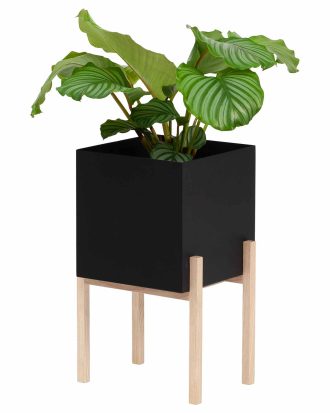 Design House Stockholm Botanic Piedestal - Krukor Ask Svart