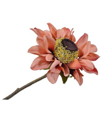 Rudbeckia snittblomma OUTLET