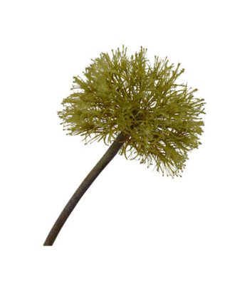 Alum snittblomma grön OUTLET