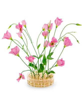 Äng Pond vas mässing