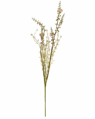 Blomkvist Nuancer Ljusbrun