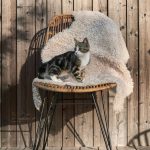 Ellos - Stol Aruba 2-pack - Brun