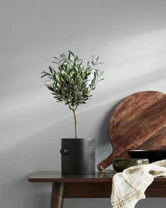 DBKD - Kruka Knob pot large - Grå