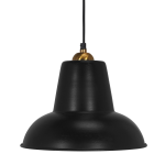 PR Home - Taklampa Scottsville 30 cm - Svart