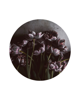 Malerifabrikken - Tavla Dark Tulips - Röd - 40X40