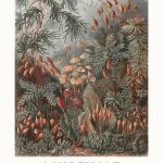 Malerifabrikken - Poster Tafel 72 - Grön - 50X70