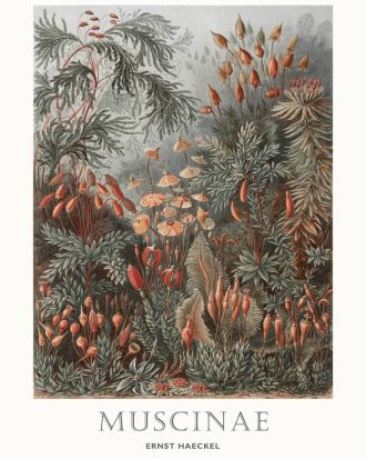 Malerifabrikken - Poster Tafel 72 - Grön - 70X100