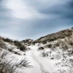 Malerifabrikken - Poster  The path - Multi - 70X100