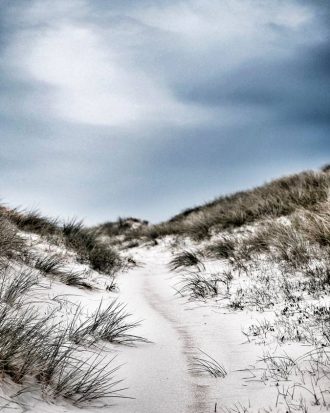 Malerifabrikken - Poster The path - Multi - 70X100