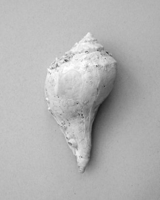 Malerifabrikken - Poster Shell - Grå - 70X100