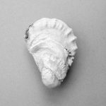 Malerifabrikken - Poster  Oyster 2 - Grå - 30X40