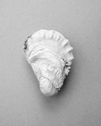 Malerifabrikken - Poster Oyster 2 - Grå - 70X100