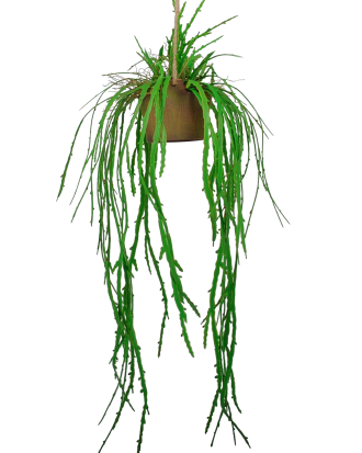 Nordic Furniture Group - Hängplanta Verde med kruka - Grön