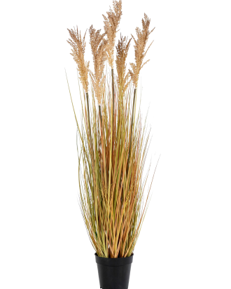 House Nordic - Konstgjord växt Durragräs. Växt av PE plast. - Grön