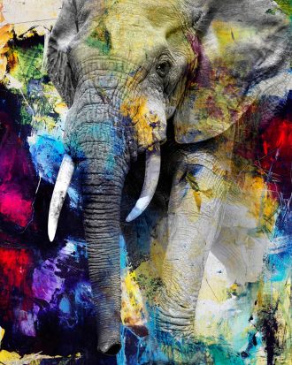 Malerifabrikken - Tavla Colour Elephant - Multi - 90X120