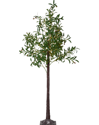 Star Trading - Dekorationsträd Olivec 180cm - Grön