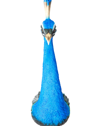 KARE Design - Väggdekor Peacock - Blå