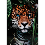 Nordic Furniture Group - Tavla Blue Eyes - Multi - 80X120