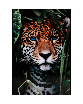 Nordic Furniture Group - Tavla Blue Eyes - Multi - 80X120