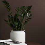 DBKD - Kruka PURE medium - Vit