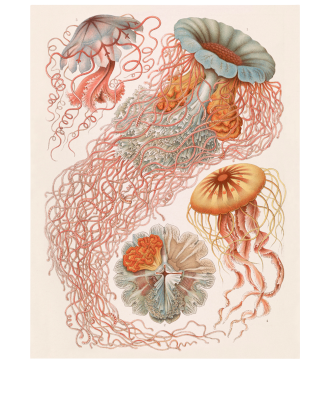 Malerifabrikken - Poster Tafel 8 - Beige - 70X100