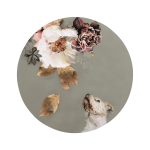 Malerifabrikken - Tavla Pet Couture 2 - Multi - 90X90