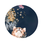 Malerifabrikken - Tavla Pet Couture 3 - Multi - 40X40